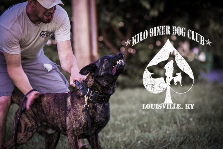 Dog Training in Louisville, KY Kilo 9iner Dog Club